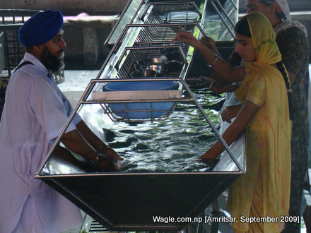 golden temple langar