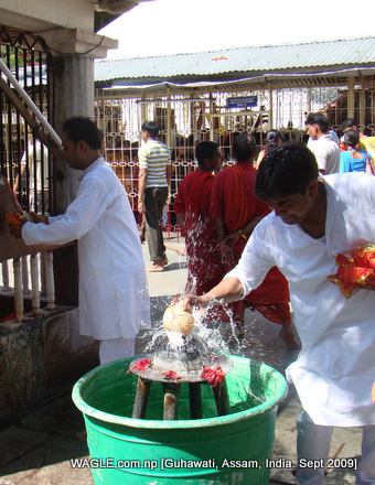 kamakhya temple