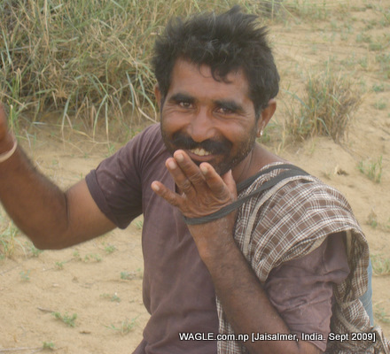 camel safari in jaisalmer india