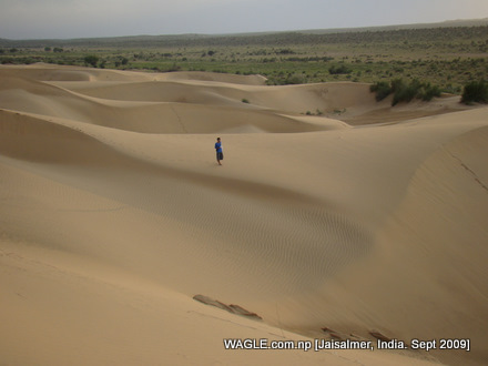 camel safari in jaisalmer india