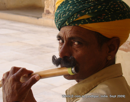 jodhpur fort music man