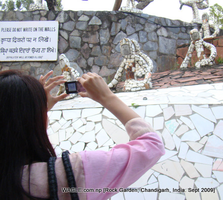 Take as many photos as you want