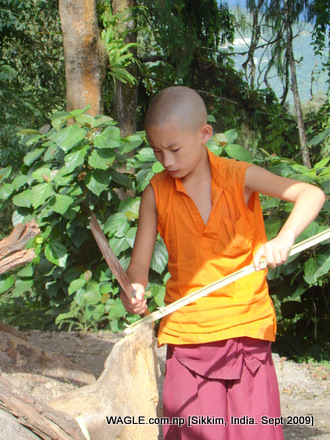 monk of gangtok, sikkim