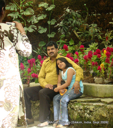 flower of gangtok, sikkim