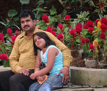 Flower garden, gangtok, sikkim