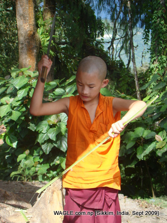 monks of gangtok, sikkim