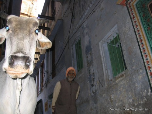 Varanasi Ghats Gallis and Ganges