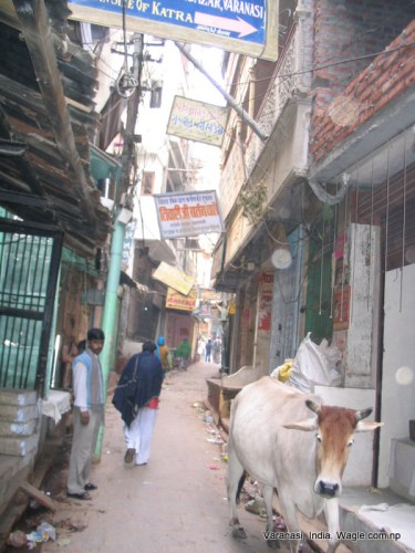 Varanasi Ghats Gallis and Ganges