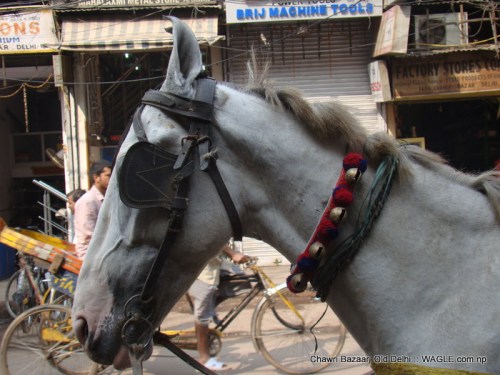 chawri bazaar, old delhi, india