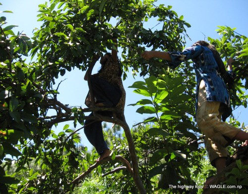 highway kids of nepal