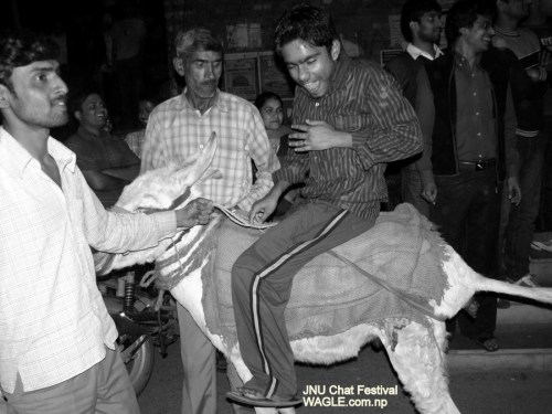 india holi jnu chat festival