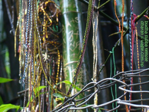 Bamboos of Budha Subba