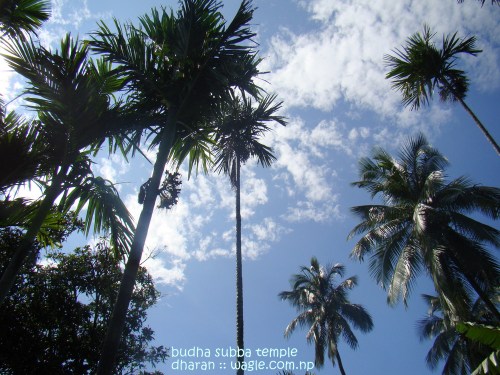 budha subba temple dharan nepal (15)