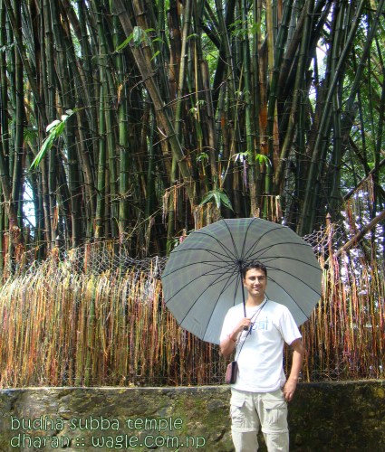 Dinesh Wagle in Budha Subba