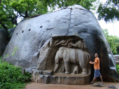 Elephant group at Mahabalipuram india stone carving monolith temples