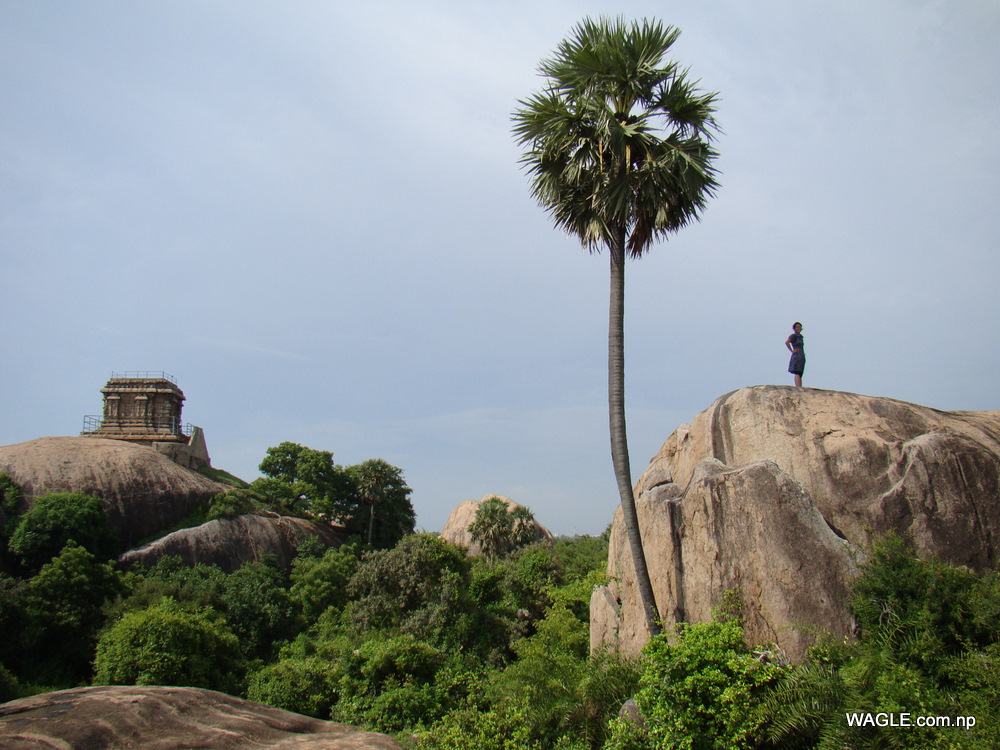 mahabalipuram india stone carving monolith temples (15)