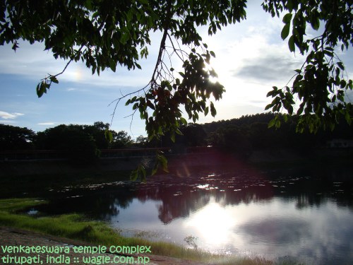 Venkateswara Temple Complex Tirupati