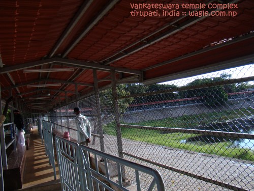 tirupati temple complext queue