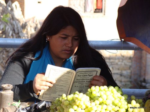 So You Guessed What She is Reading..no?