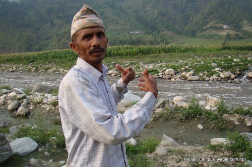 surendra bahadur sanjel shows his corn field on the bank of bagmati river