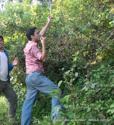 Kathmandu Kakani Jhor Hiking (7)