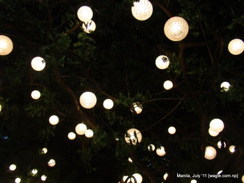 manila: light bulbs on a tree