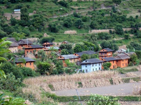 1-rukumkot village houses