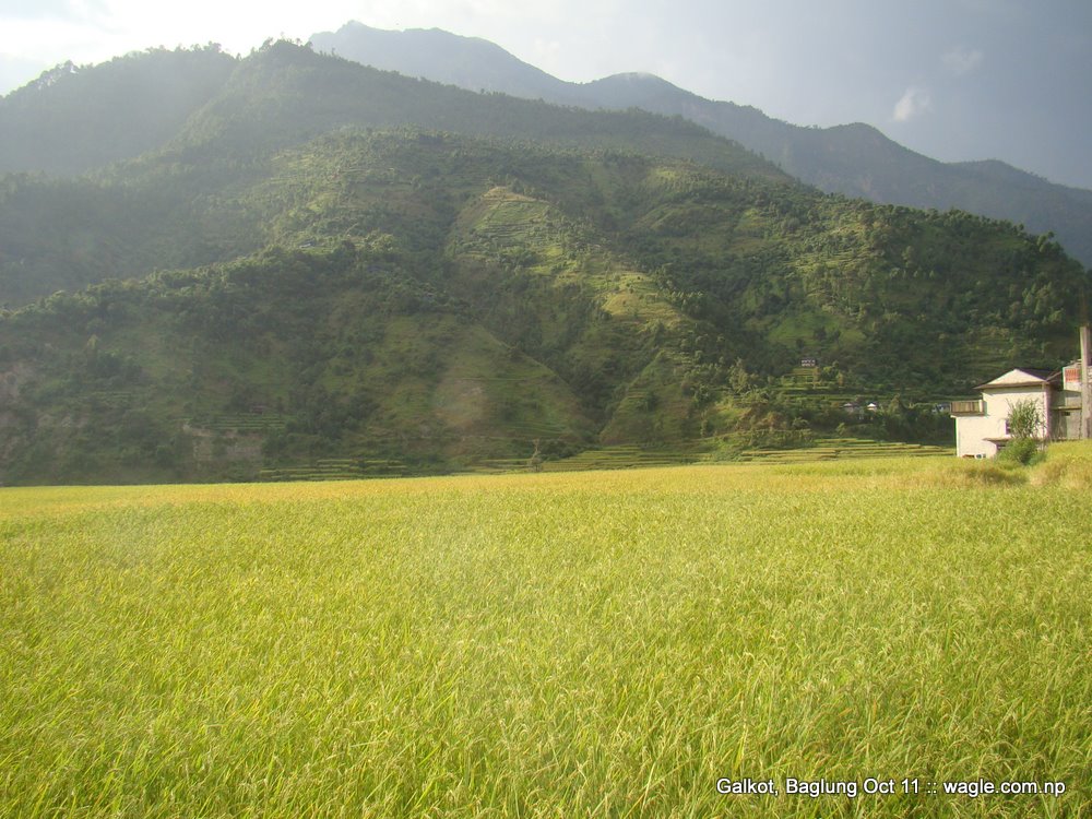 A Nepali village- Hatiya (and Harichaur)- of Galkot, Baglung