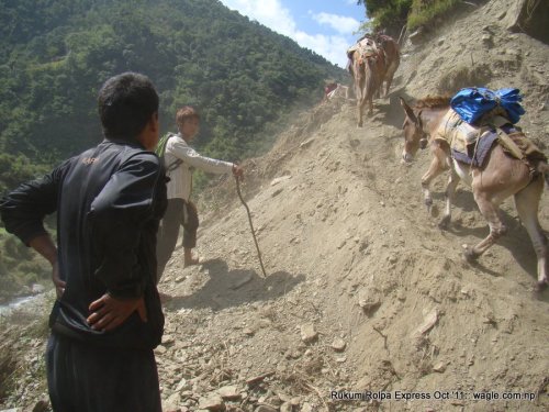 Jeetman and his donkeys