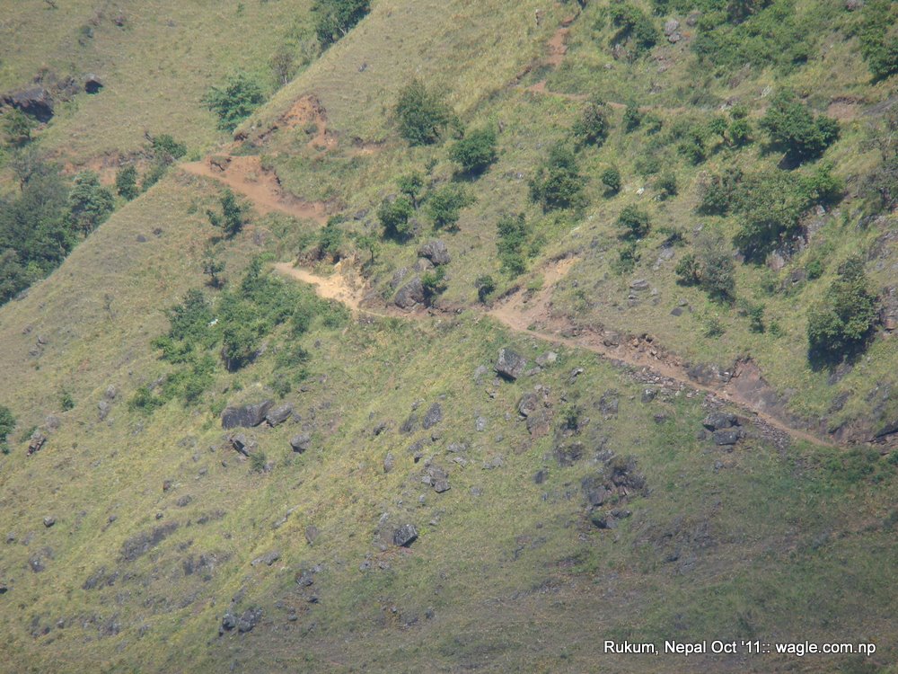 The precipitous slope near Kol village overlooking Sani Bheri river. This is where DW got slipped.