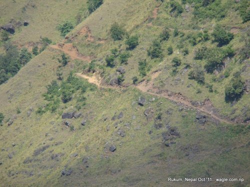The precipitous slope near Kol village overlooking Sani Bheri river. This is where DW got slipped.