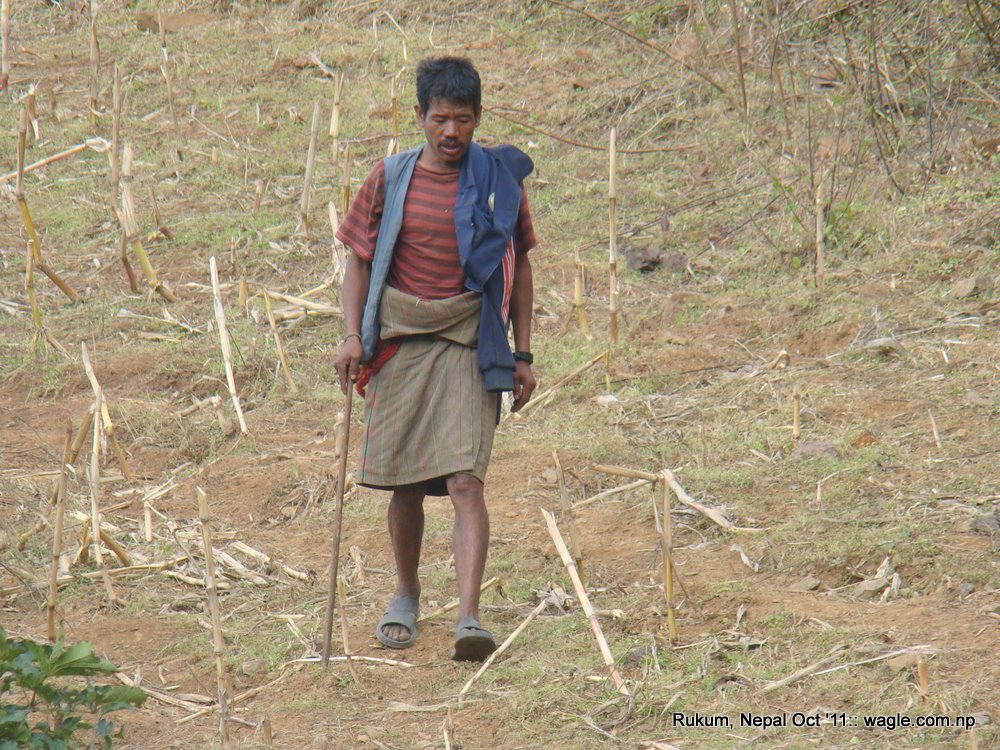 Shepherd near Cubang, Rukum