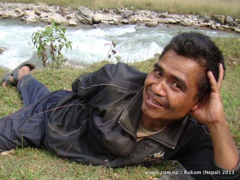 the maoist man with mules