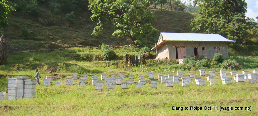 @ Rolpa [Libang] photos and journal from my October trip&nbsp;#Nepal
