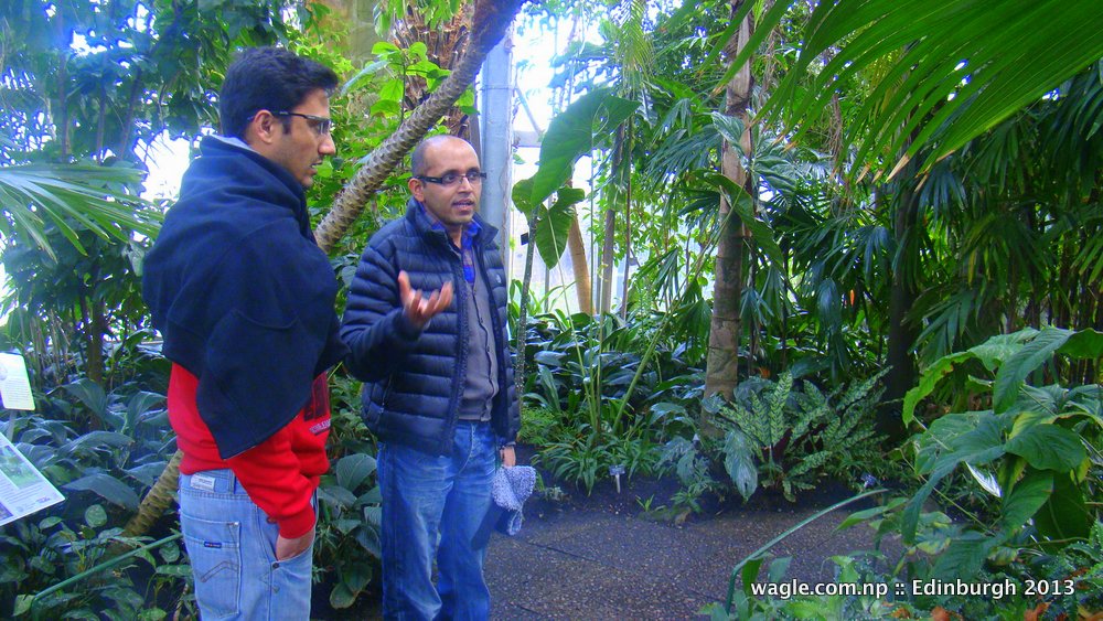 Bhaskar Adhikari who works at the Royal Botanical Gardens as a researcher gave me a near-detailed tour of the beautiful Gardens.