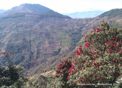 Doramba village of Ramechhap- beautiful and touristy place infamous for 2003 massacre of Maoist guerillas by Nepal Army soldiers.
