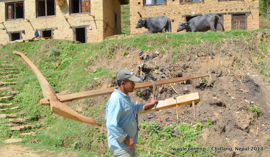 A farmer in Chitlang with his plough