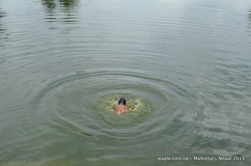 Holy dip: A man sought respite from the heat by taking bath in the pond at the back of the Jaleshwar Mahadev Temple.