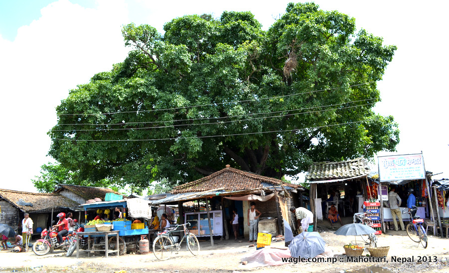 Jaleshwar, Mahottari