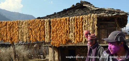 Men of Thabang, Rolpa with their faces smeared in colored powers on the day of Maghi festival.