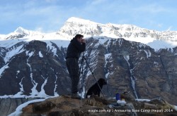 A dog accompanied a photographer at the Annapurna Base Camp viewpoint