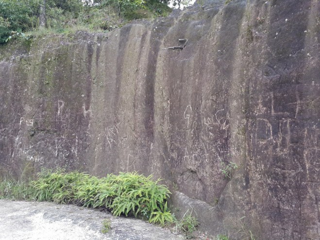 A canvas full of imagination