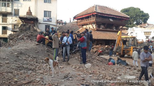 A day after the #NepalEarthquake, I saw a dog and a crew of Japan's NHK TV at the site where the Kastamandap temple stood once.