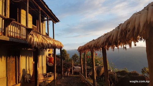 House in the morning